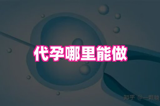 武汉助孕网站 1